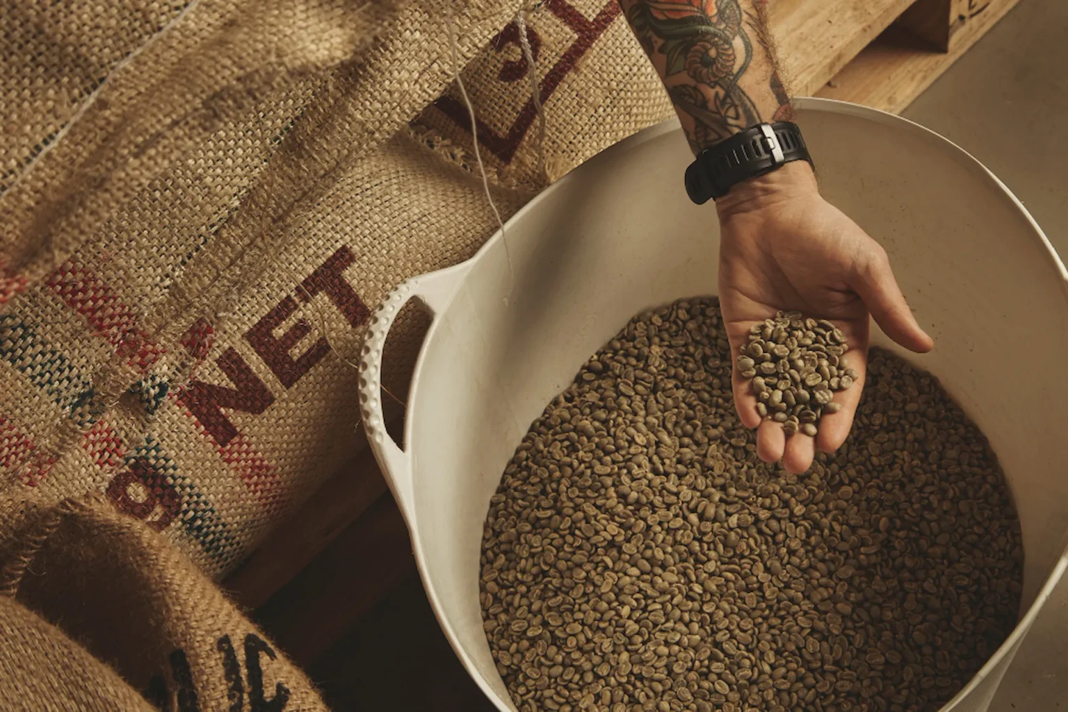 une main pleine de grains de café avec en fond un sceau rempli de ces mêmes grains